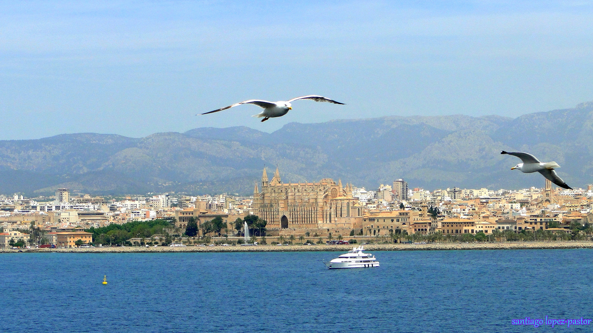 Остров Майорка, Испания: интересные достопримечательности, как добраться, чем заняться, туристические лайфхаки